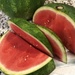 watermelon by beckyk365