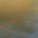 rainbow by shannejw