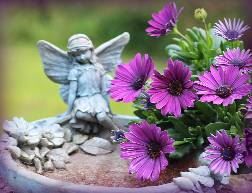 Flower Fairy. by wendyfrost