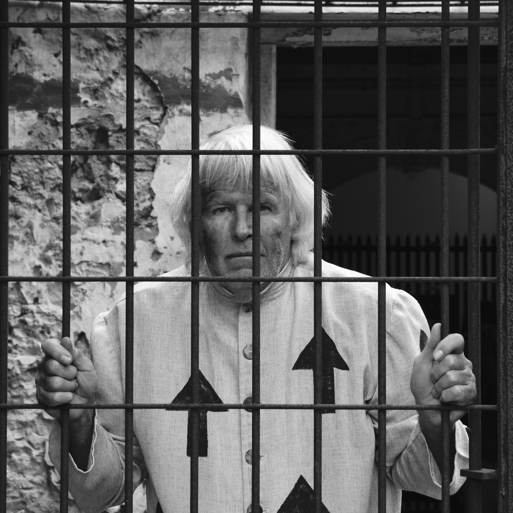 Behind Bars..._DSC0744 by merrelyn