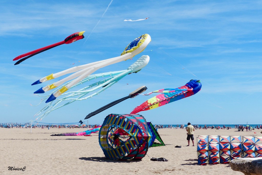 Kite flying exhibition  by monicac