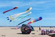12th May 2019 - Kite flying exhibition 