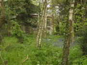 3rd May 2019 - Cottage in the Wood