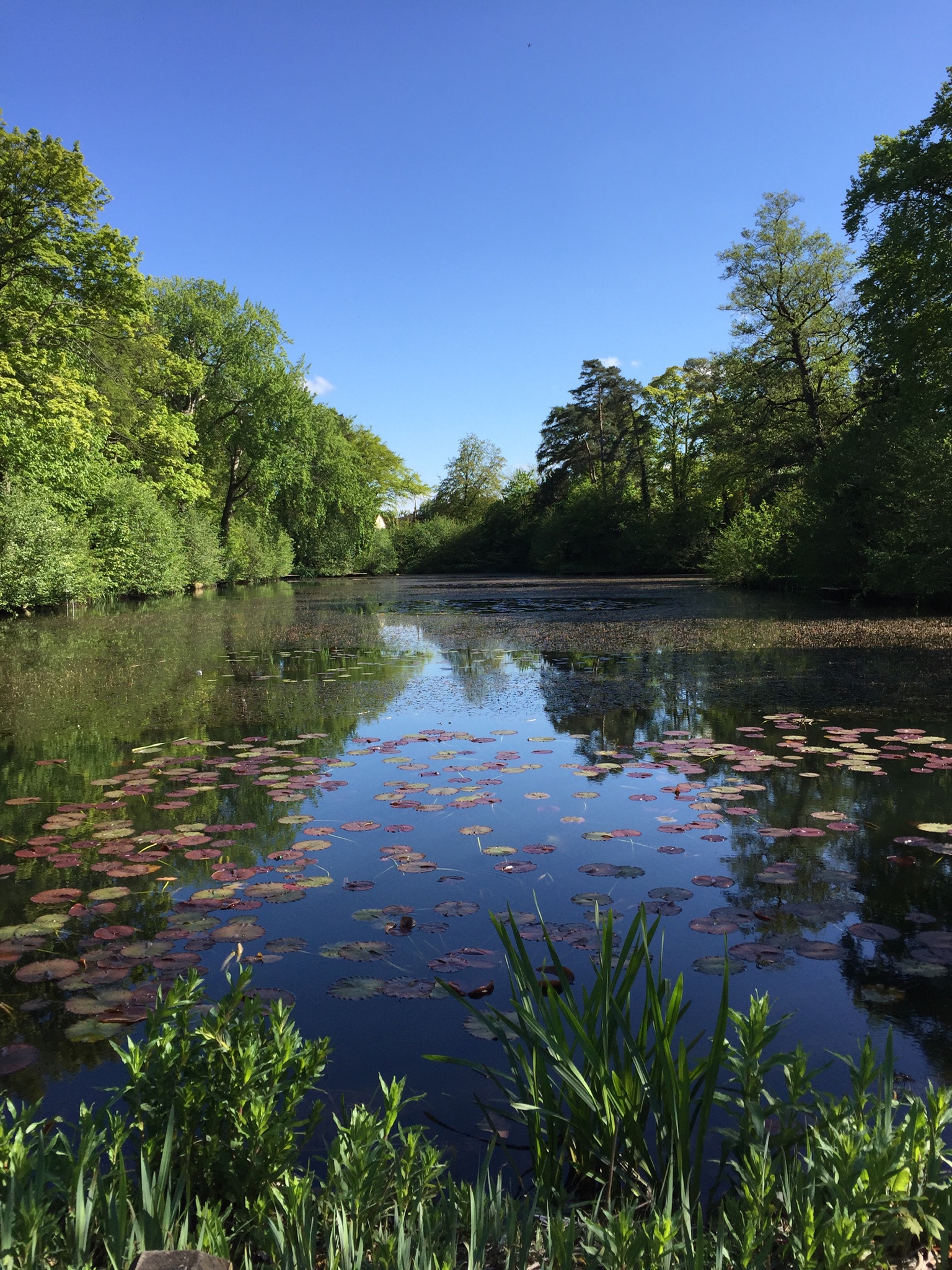 Loch Neaton by Gillian Brown · 365 Project