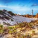 California Dunes in Aruba by pdulis