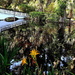 Long White Bridge, reflections, and day lilies, Magnolia Gardens by congaree