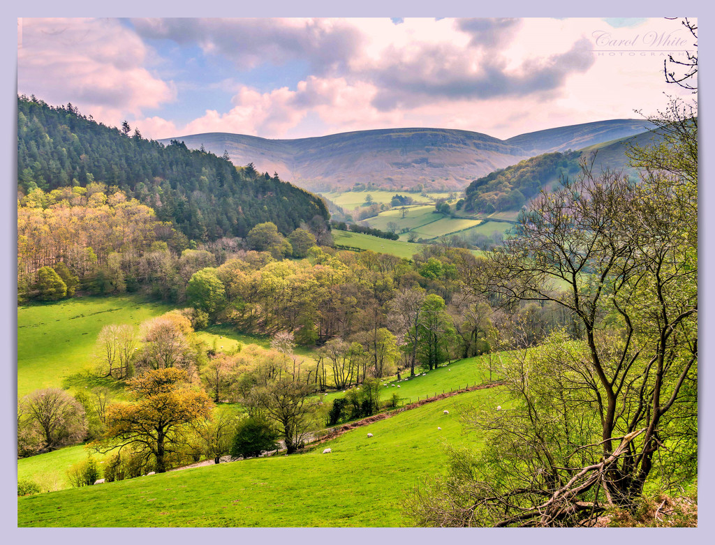 Mountains And Valleys,North Wales by carolmw