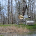 Osprey With A Fish At Deer Lake N.M. by bigdad