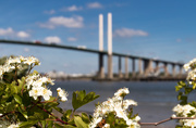 13th May 2019 - Dartford Crossing - a different view