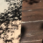 12th May 2019 - Shadows on the sidewalk