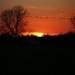 Lincolnshire Sunset by phil_sandford