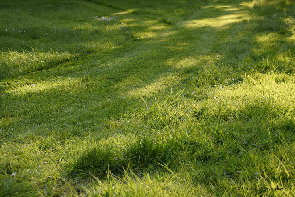 lawn mowing by parisouailleurs