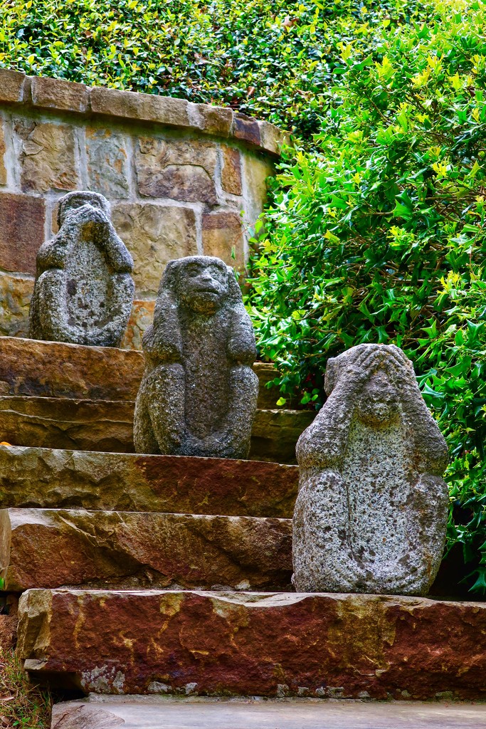 The three wise monkeys by louannwarren