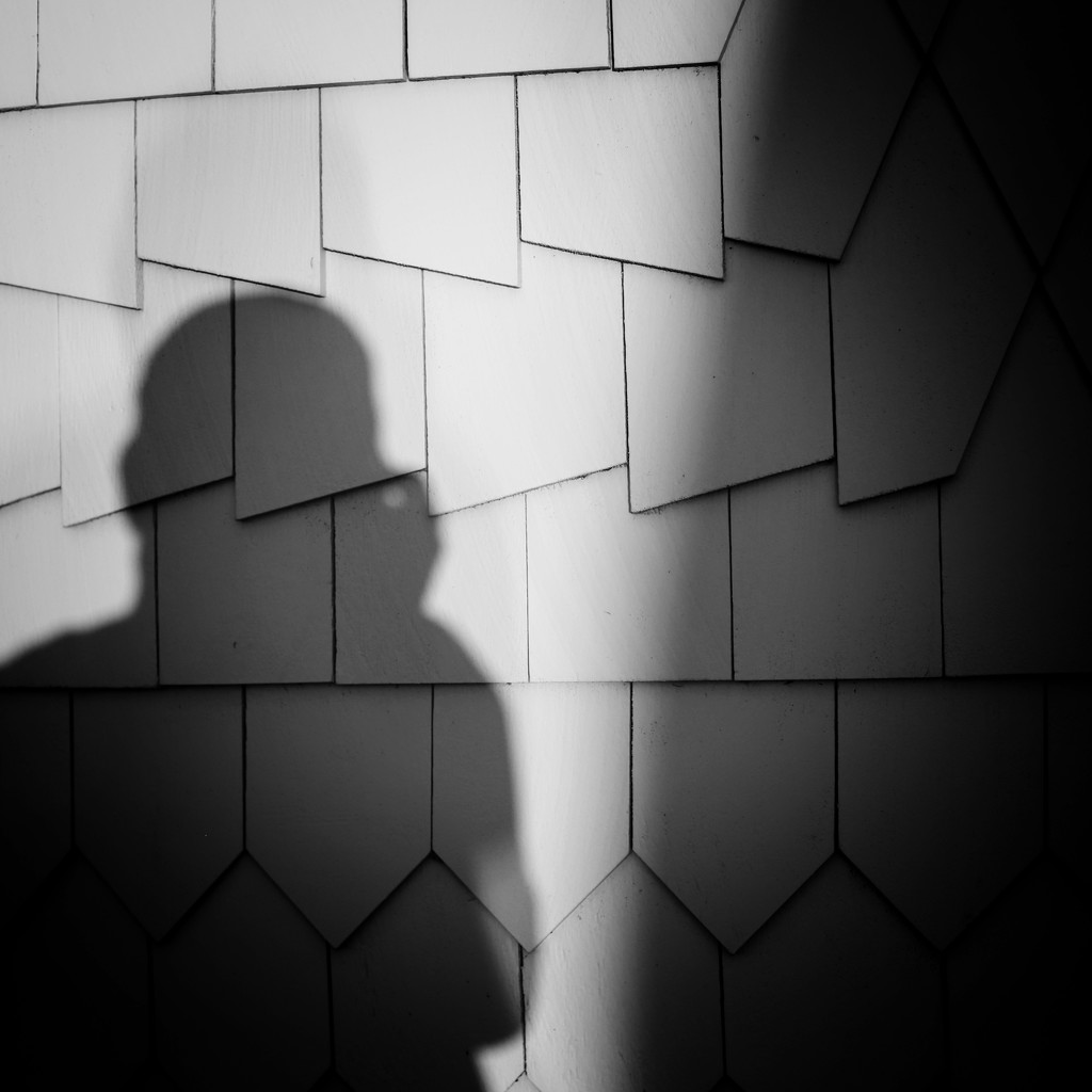 Shadow Selfie  by joemuli