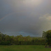 Rainbow by koalagardens