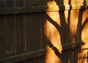 14th May 2019 - Fence shadows
