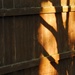 Fence shadows by amyk