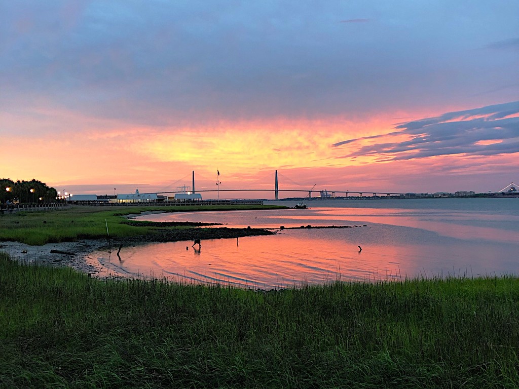 Sunset, Waterfront Park overlooking Charleston Harbor. by congaree