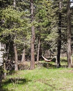 15th May 2019 - Hammock in the Woods