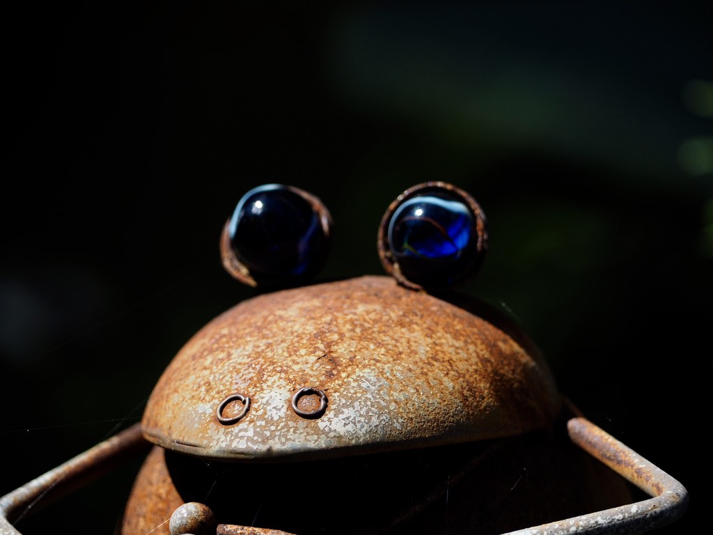 Rusty the frog by jacqbb