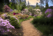 15th May 2019 - The Path Through Hinman Gardens-Impression