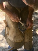15th May 2019 - Farrier at work