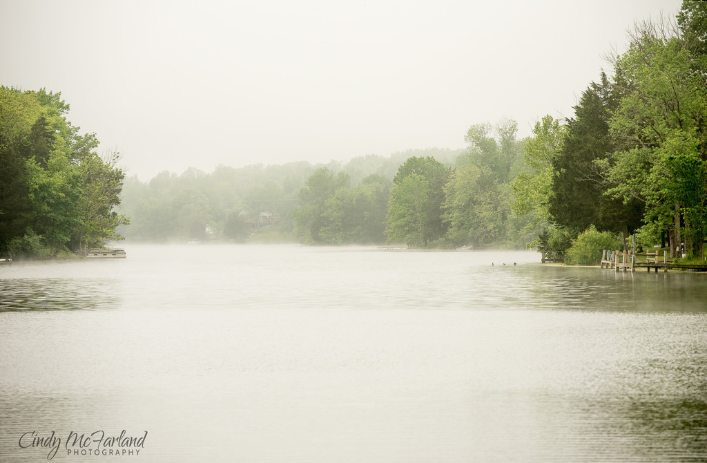 Foggy Morning on the Lake by cindymc