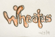 14th May 2019 - Wheatus