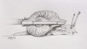 15th May 2019 - Jetpack Snail