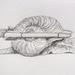 Jetpack Snail by harveyzone