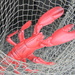 Fake Lobster by sfeldphotos