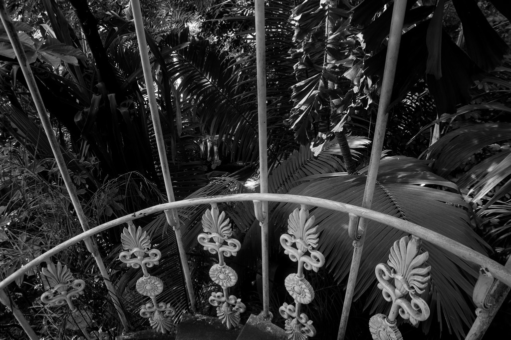 Kew gardens by brigette