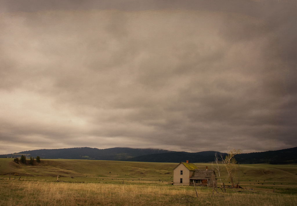 Abandoned farmhouse under the Big Sky. by 365karly1