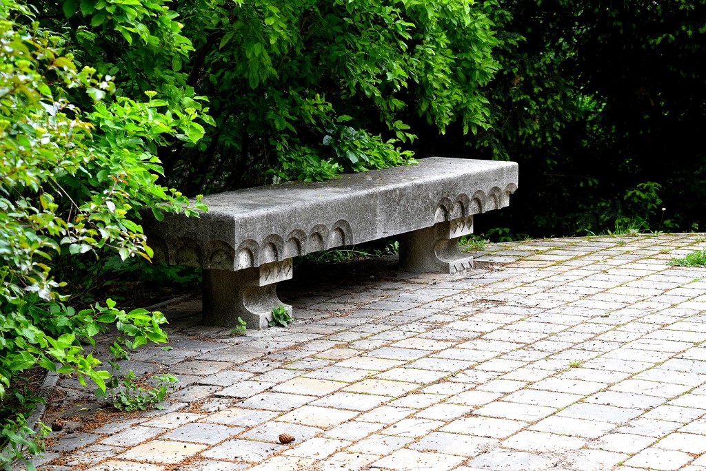 Old garden, old bench! by kork