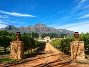 18th May 2019 - Waterford wine estate