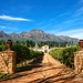 Waterford wine estate by ludwigsdiana
