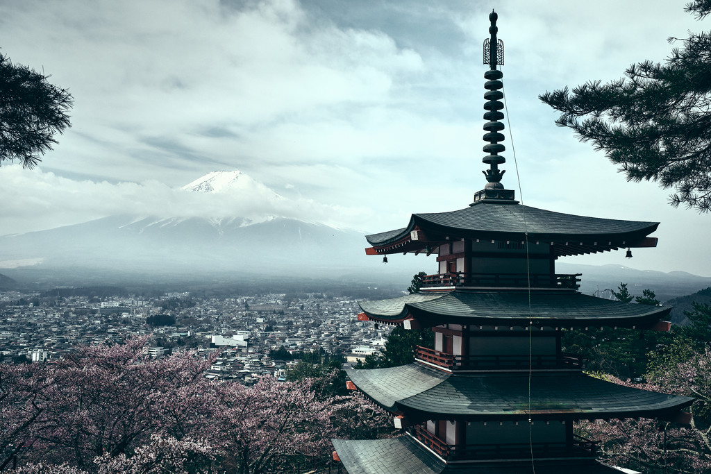 Morning at the Pagoda by stefanotrezzi