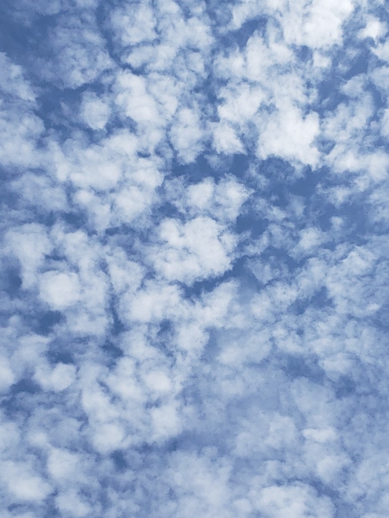 May Words - Clouds by waltzingmarie