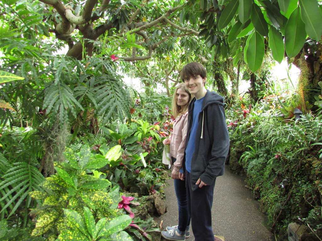 Botanical Gardens  by julie