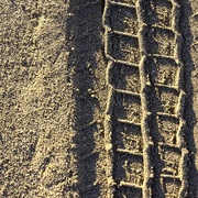 19th May 2019 - Tracks In The Sand..._DSC0946 