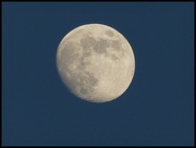 17th May 2019 - evening moon