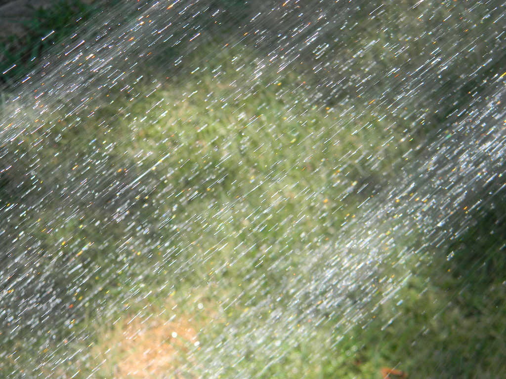 Jets of Water Spraying onto Grass by sfeldphotos