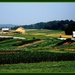 Lush Farms In Amish County by vernabeth