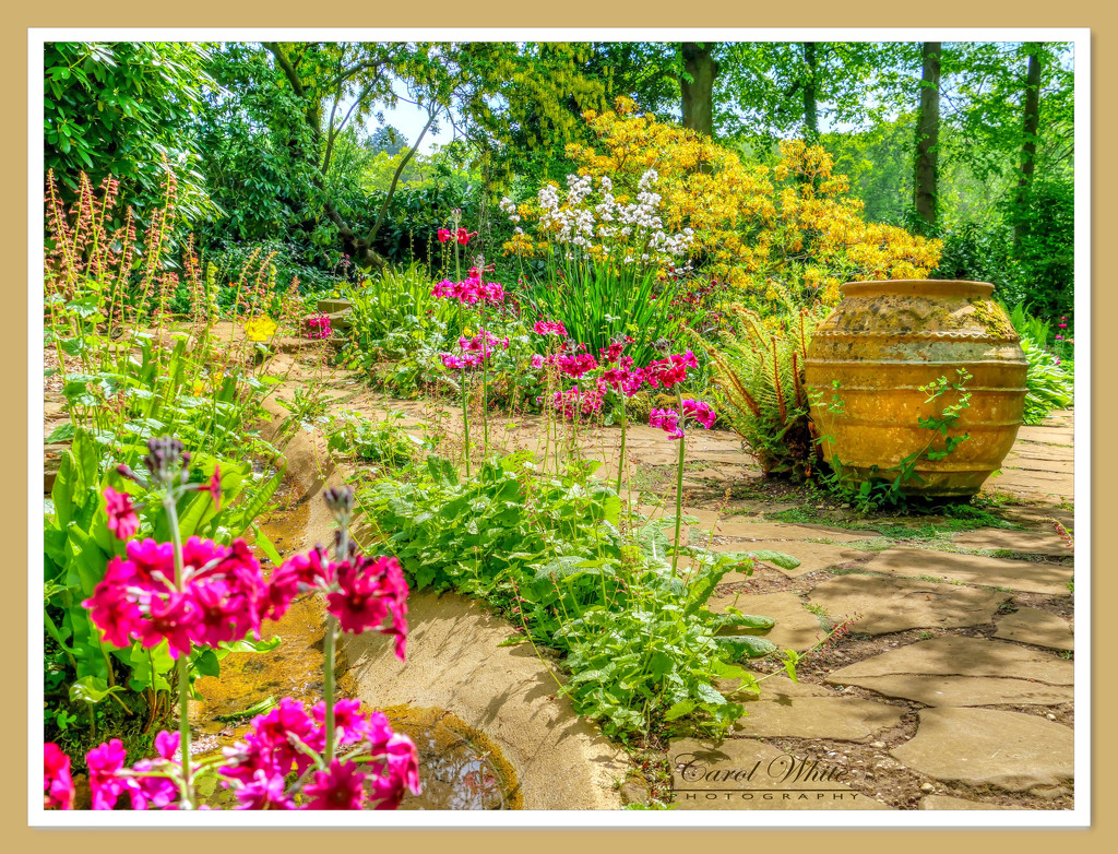 A Pretty Path,Coton Manor Gardens by carolmw