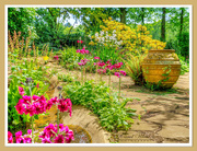 20th May 2019 - A Pretty Path,Coton Manor Gardens
