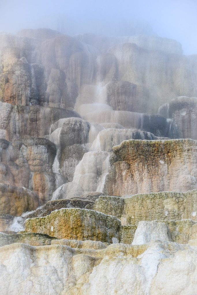 Mammoth Hot Springs by 365karly1