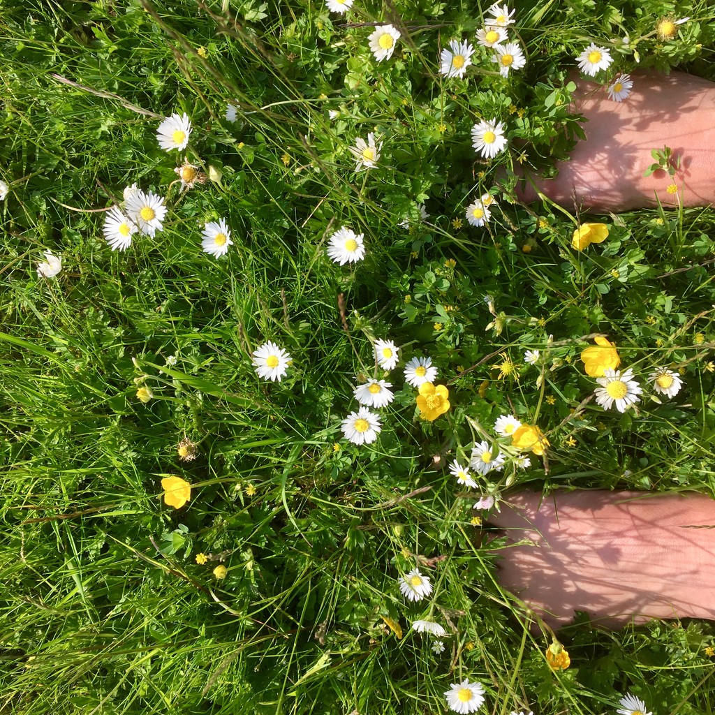 Barefoot through lush grass feels heavenly! by stimuloog
