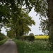 a country drive in Suffolk by quietpurplehaze