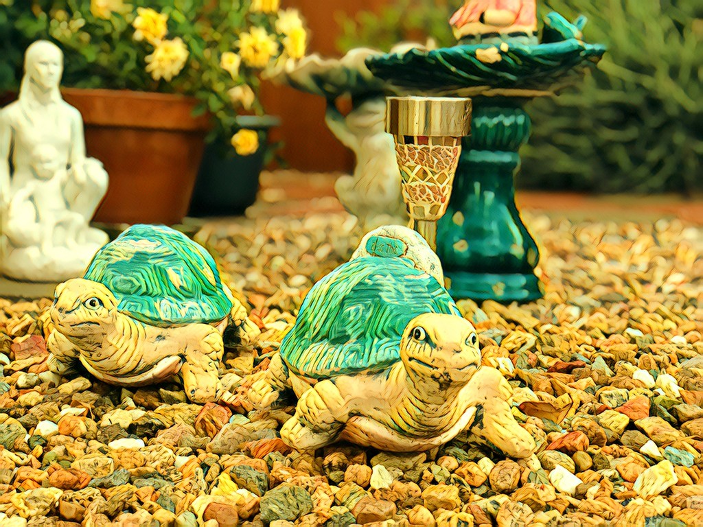 Turtle Races at the Rock Garden by jnadonza