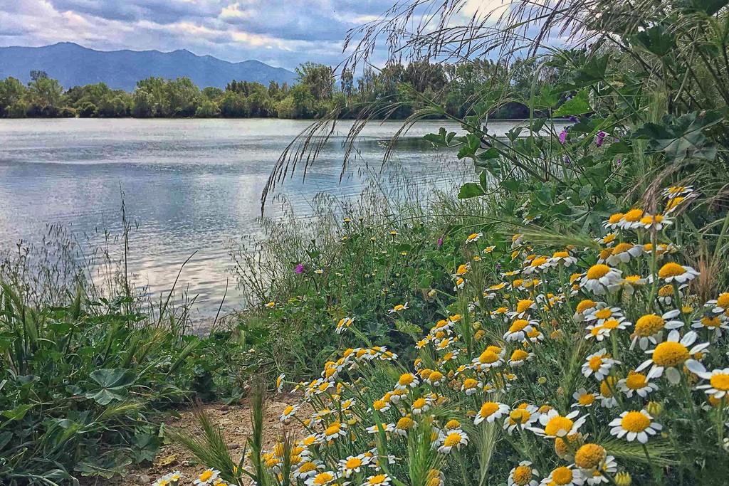 Palau lake by laroque